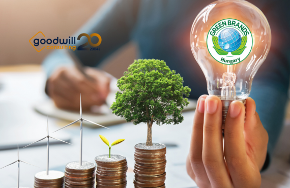 GB-Goodwill Consulting