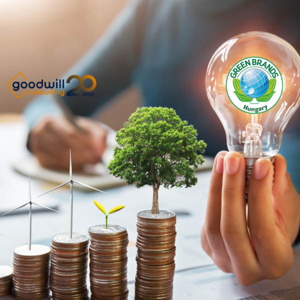 GB-Goodwill Consulting